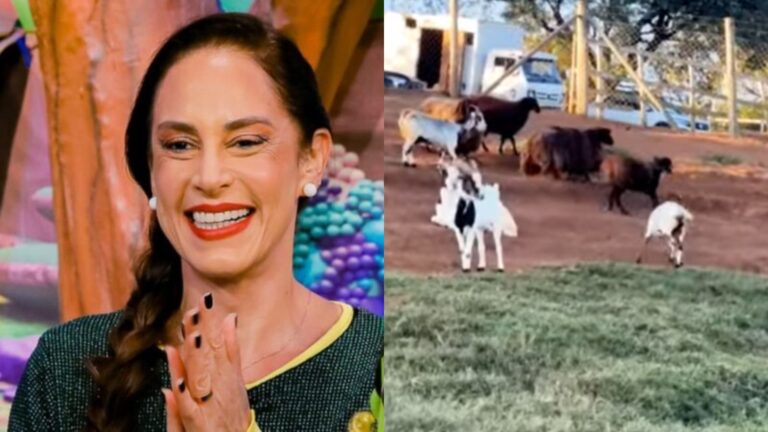 Aos 55 anos, Silvia Abravanel trocou estúdios por fazenda com criação de cavalos e pistas de montaria em SP