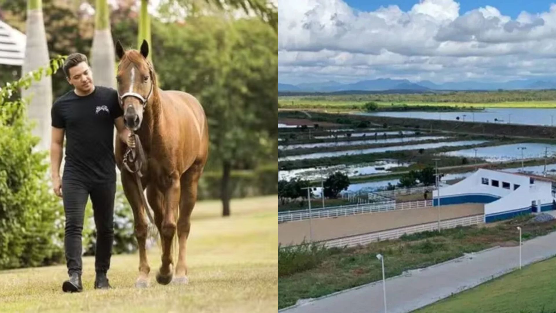 Entenda: Aos 38 anos, Wesley Safadão comanda fazenda com lucrativo império de cavalos no Ceará
