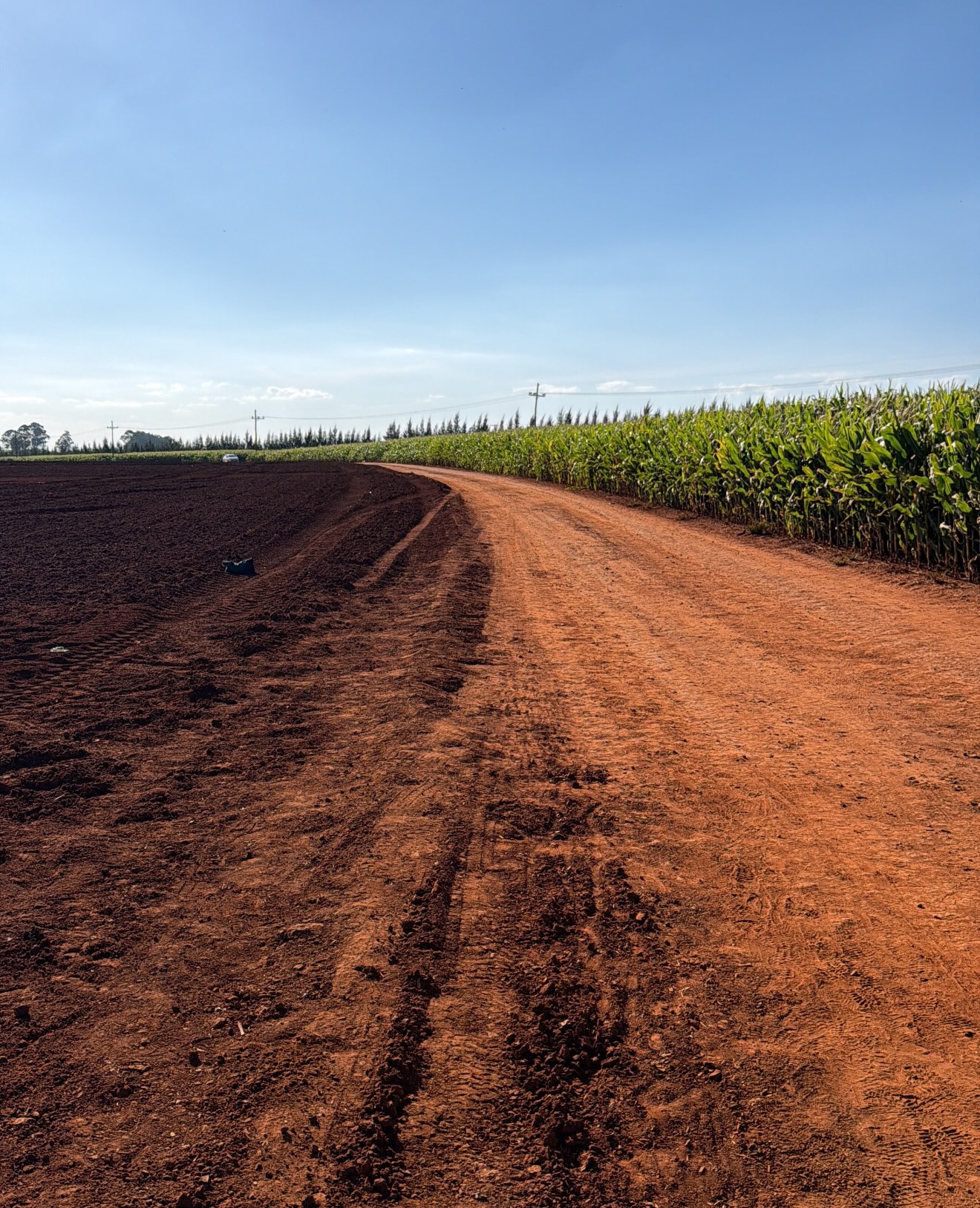 Fazenda - Foto: Instagram