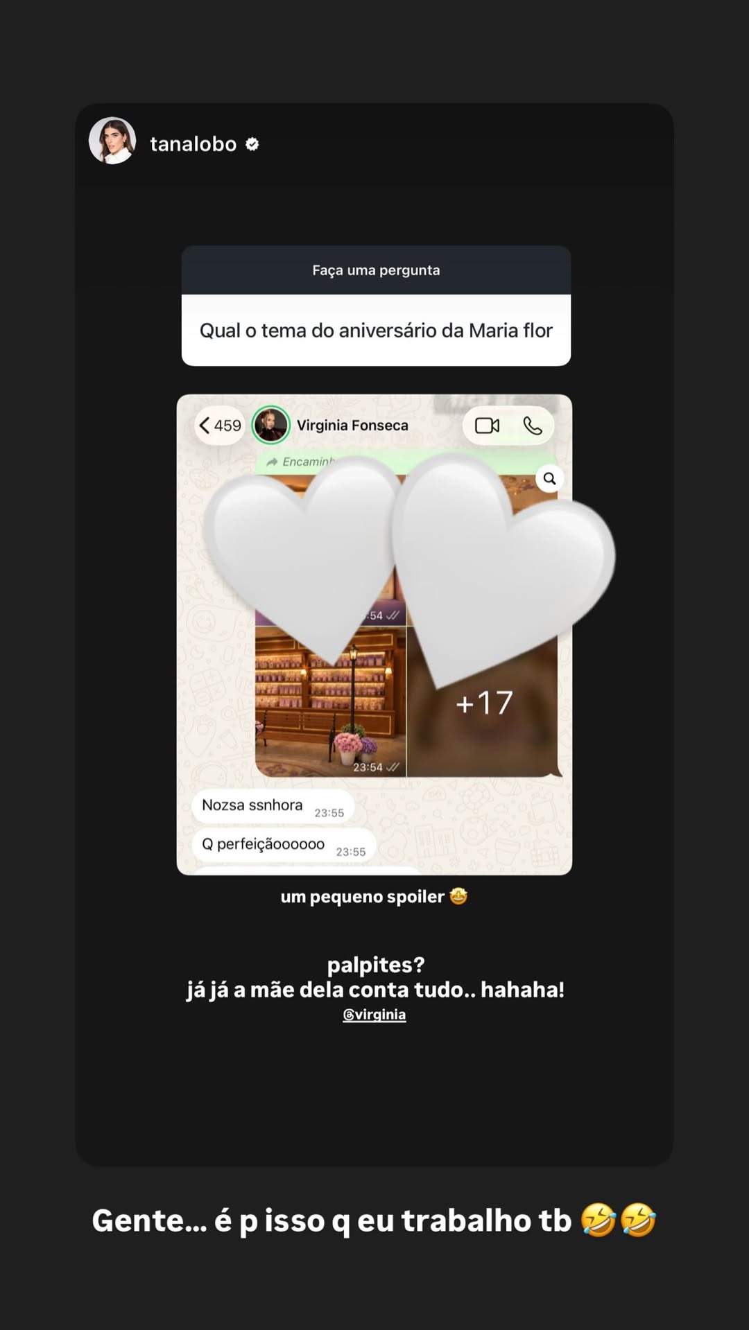 Tana Lobo mostra print de conversa com Virginia – Foto: Reprodução/Instagram