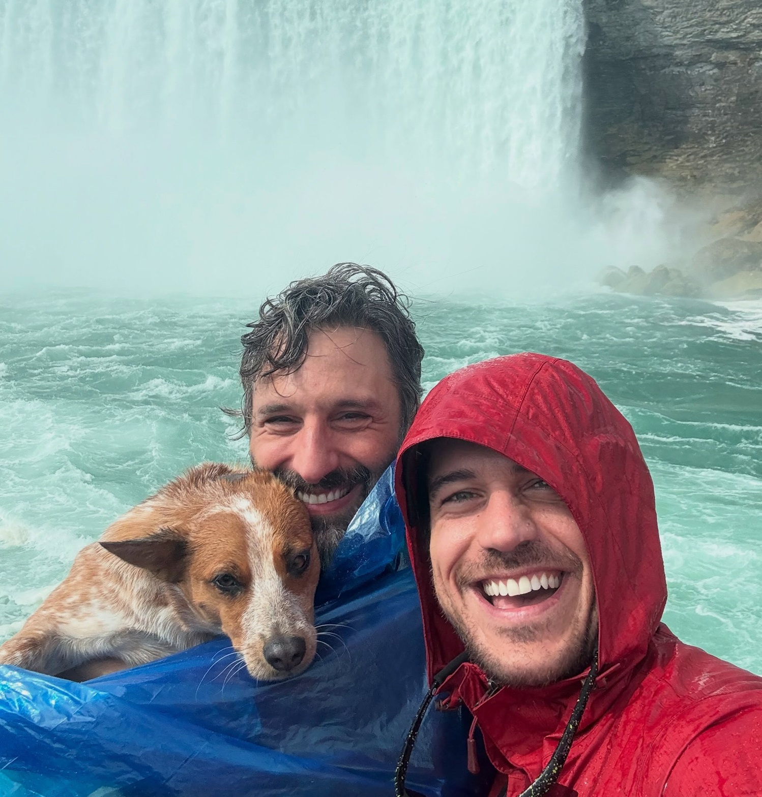 Marcos Pigossi posa com marido italiano e cão durante viagem — Foto: Reprodução/Instagram