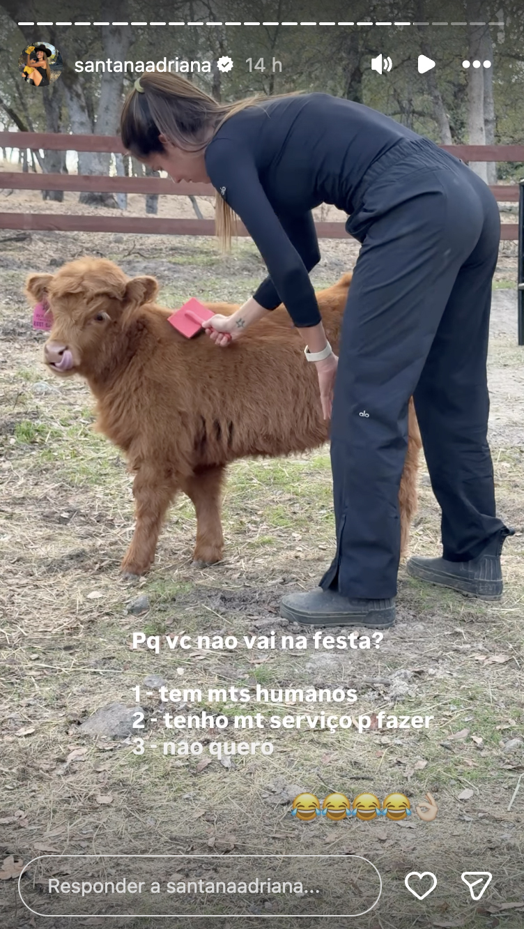 Fazenda da ex-BBB Adriana Sant'Anna - Foto: Reprodução / Instagram