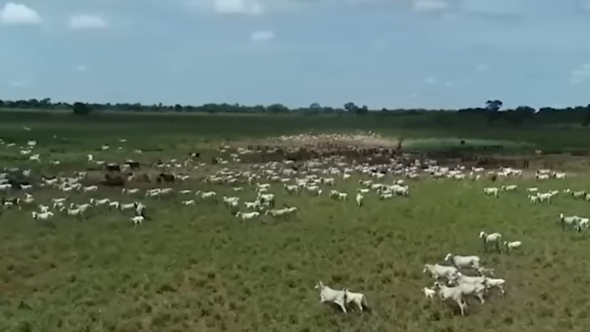 Amado Batista fazenda