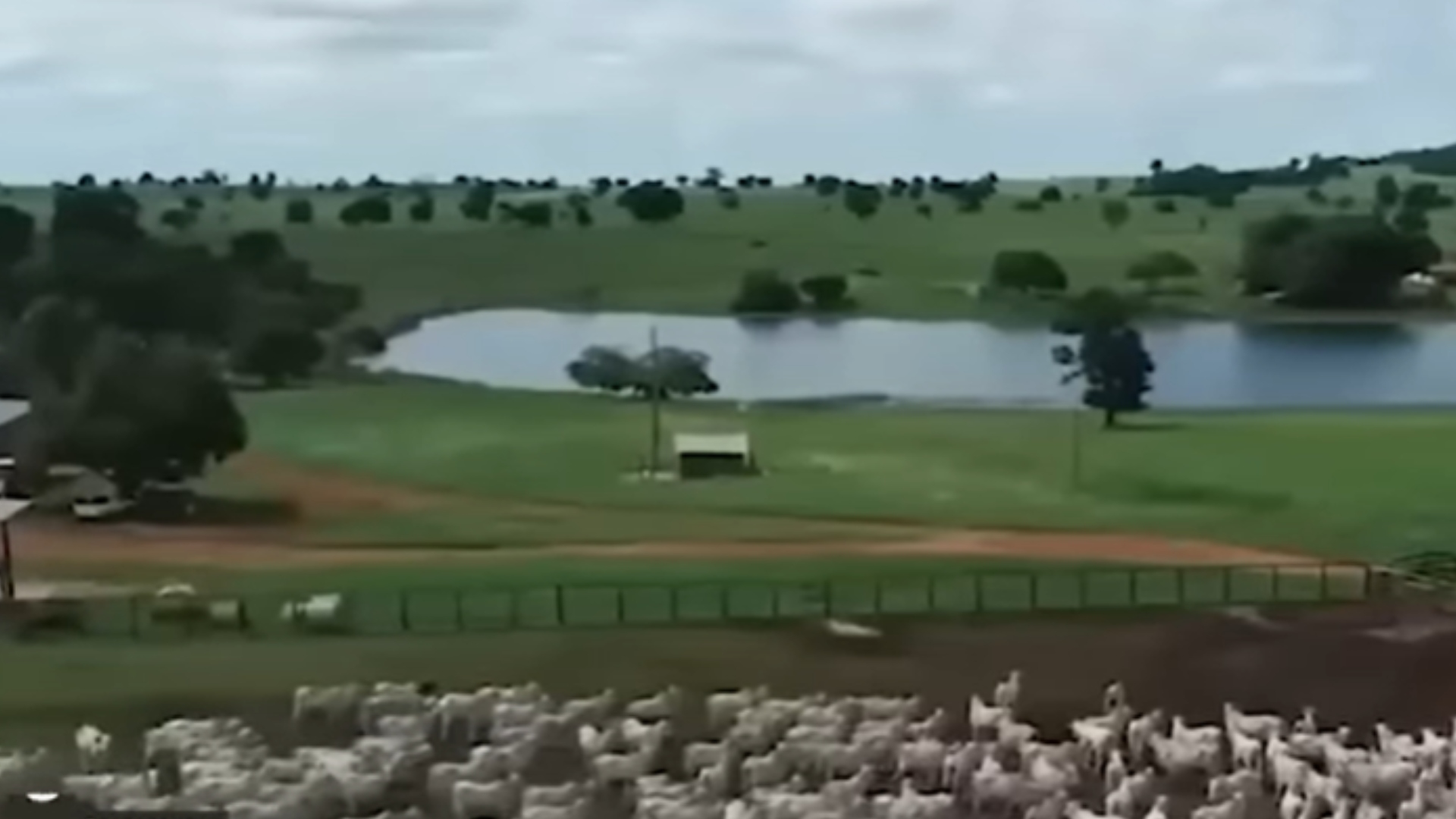 Amado Batista fazenda