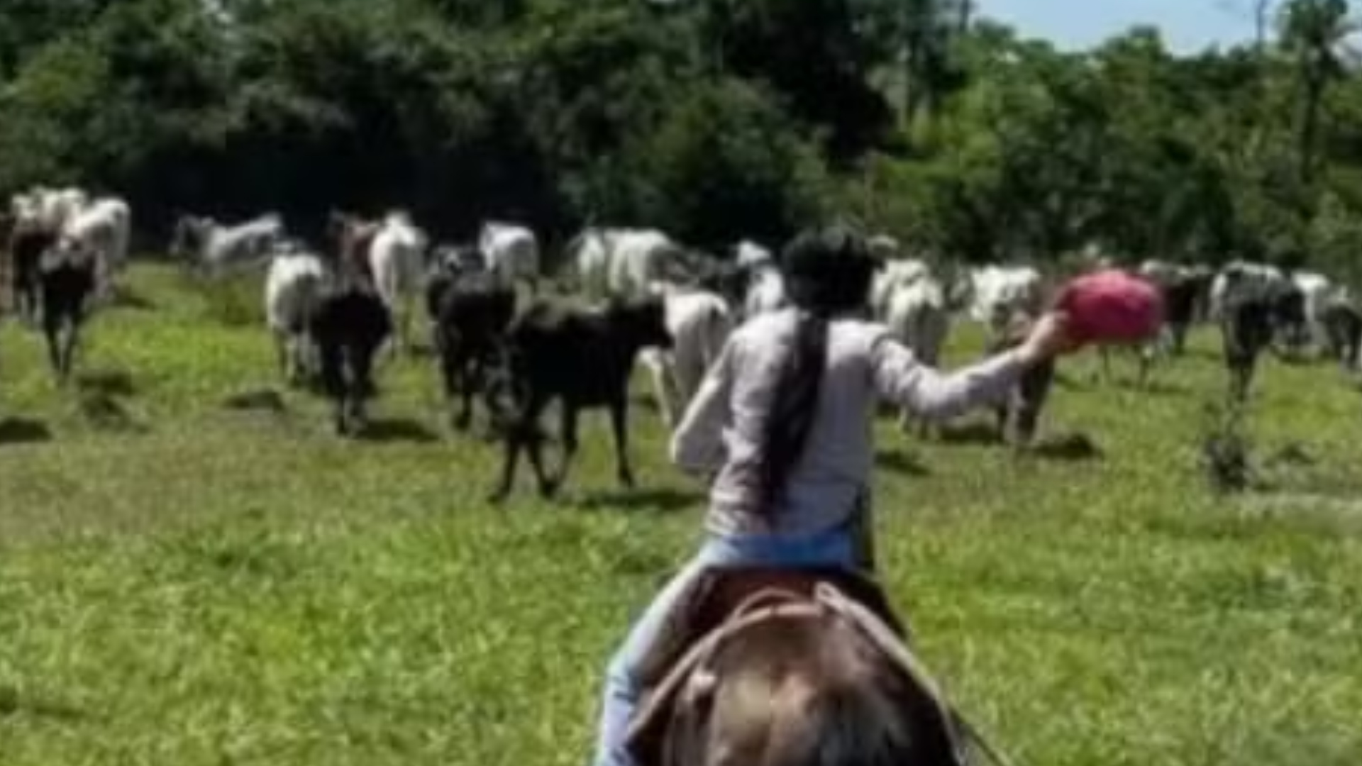 Ana Castela fazenda
