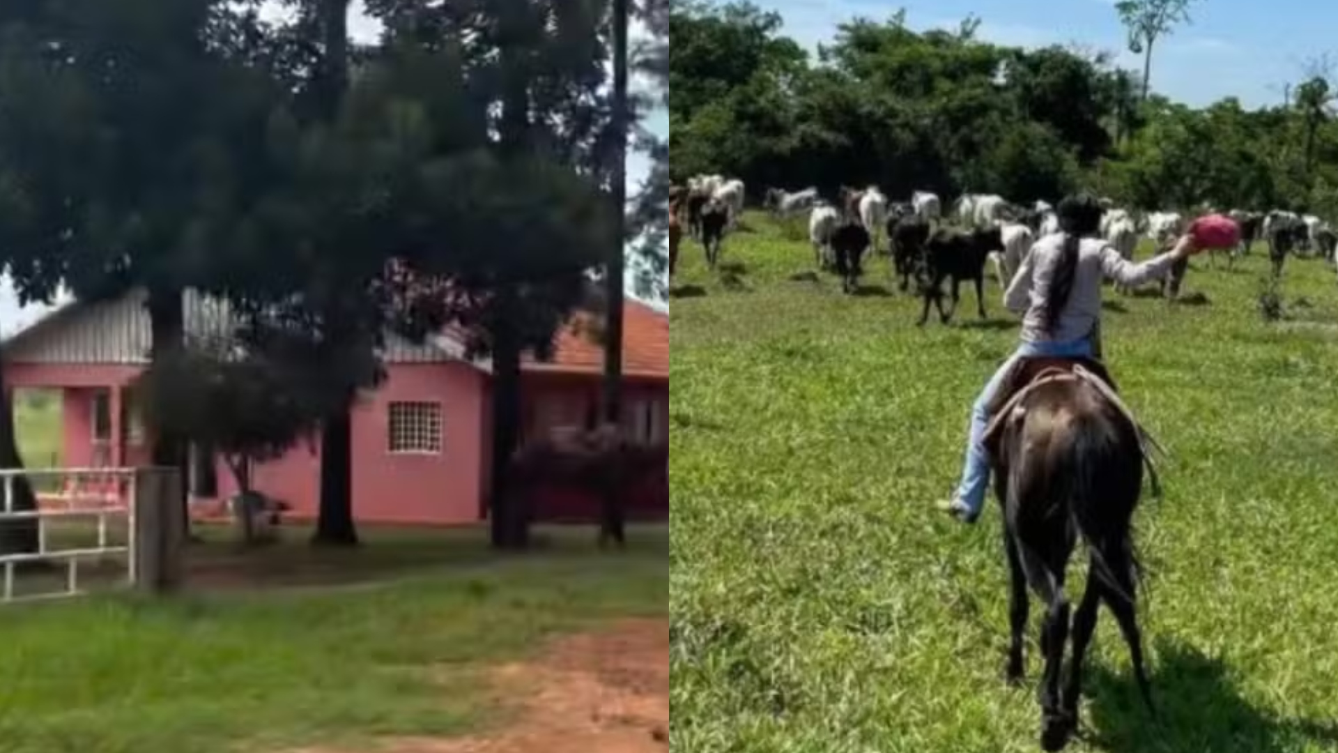 Fique por dentro: Aos 22 anos, cantora cresceu em fazenda de gado e competia em rodeios no interior de MS