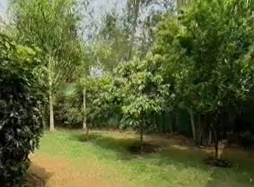 Jardim amplo da mansão - Foto: Reprodução/YouTube/TV Globo