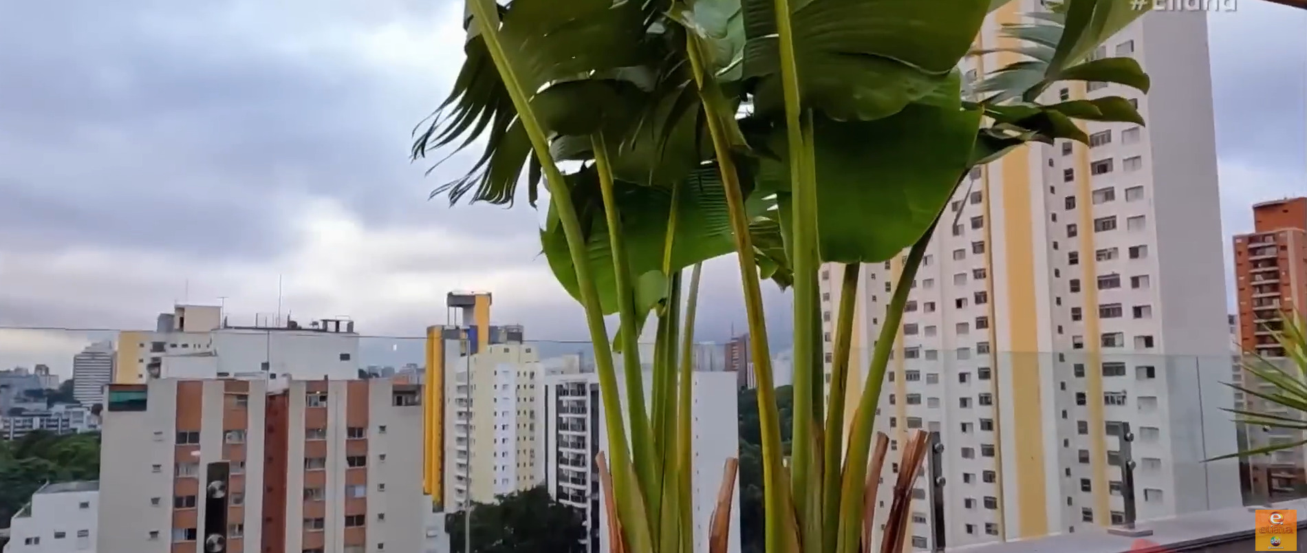 Apartamento da cantora Priscilla