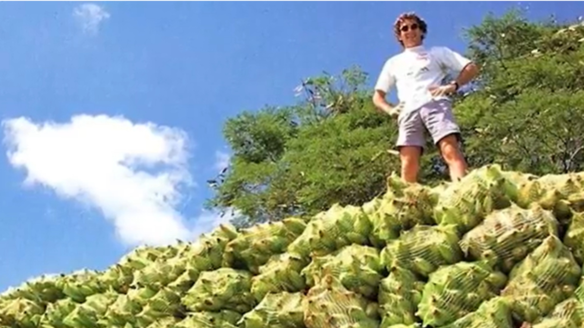 Ayrton Senna fazenda