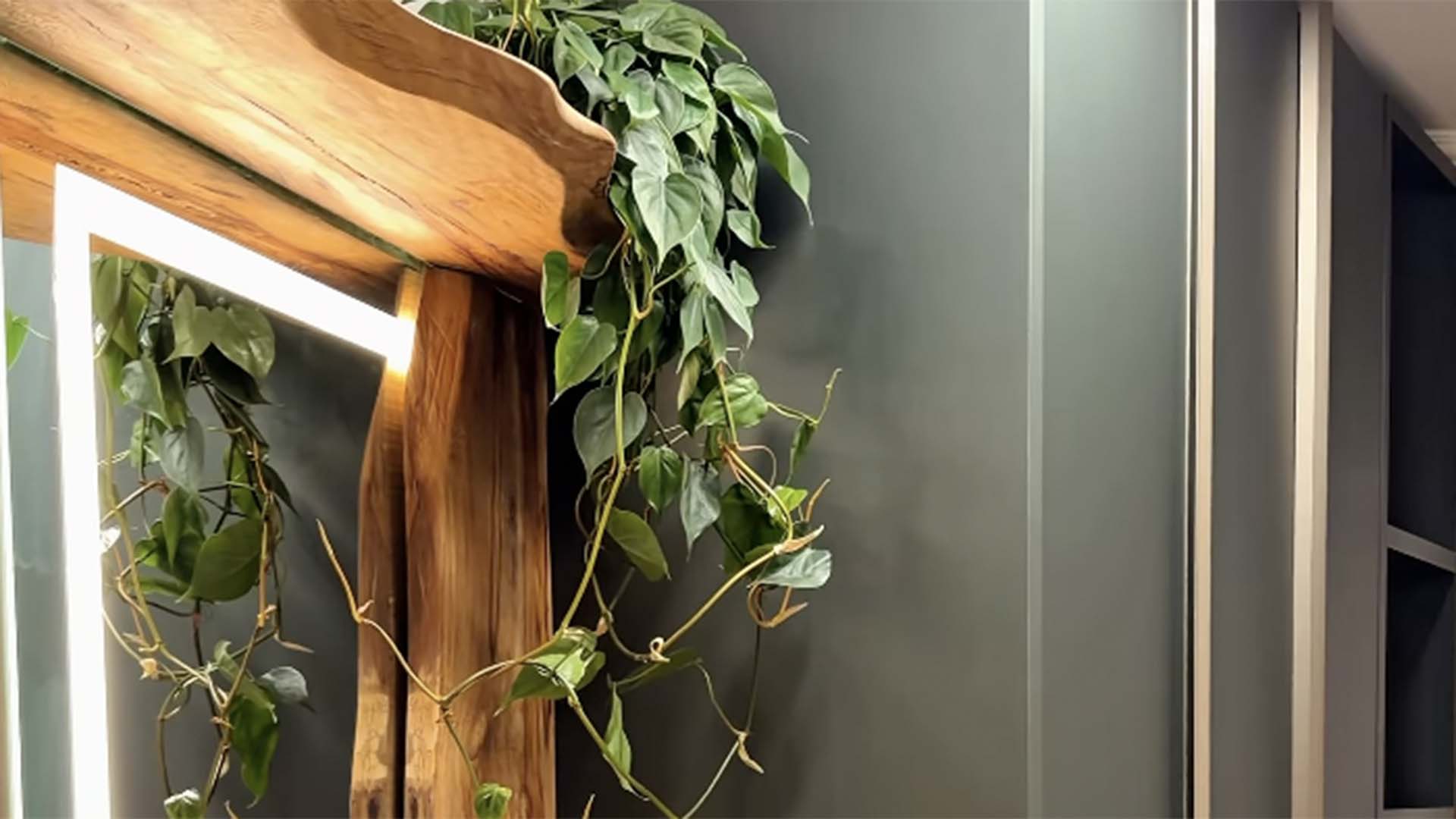 Fique por dentro: Decoração da casa de ex-BBB traz elementos da natureza para o hall de entrada