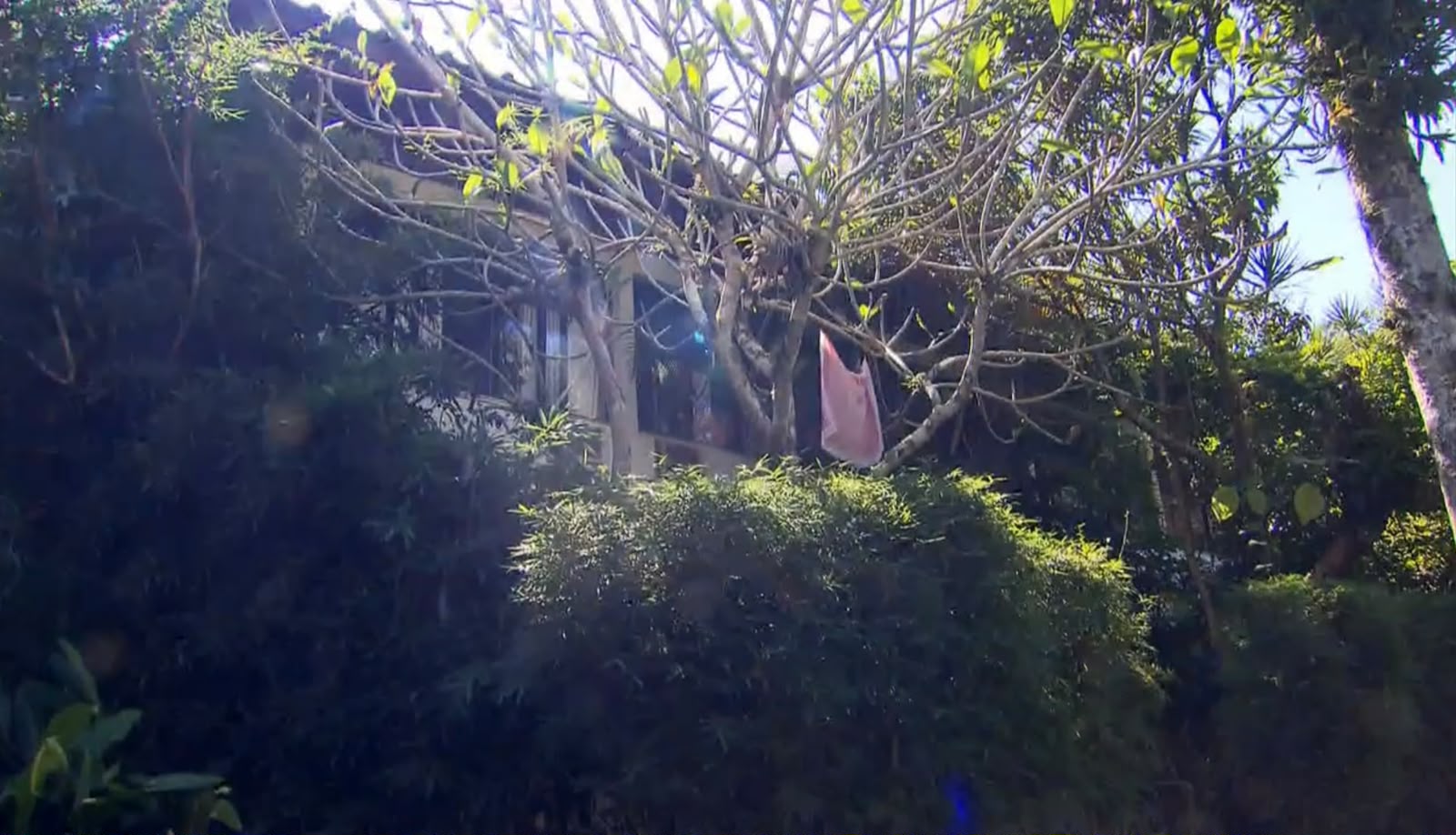Vanessa Gerbelli já abriu as portas da sua casa no Rio de Janeiro