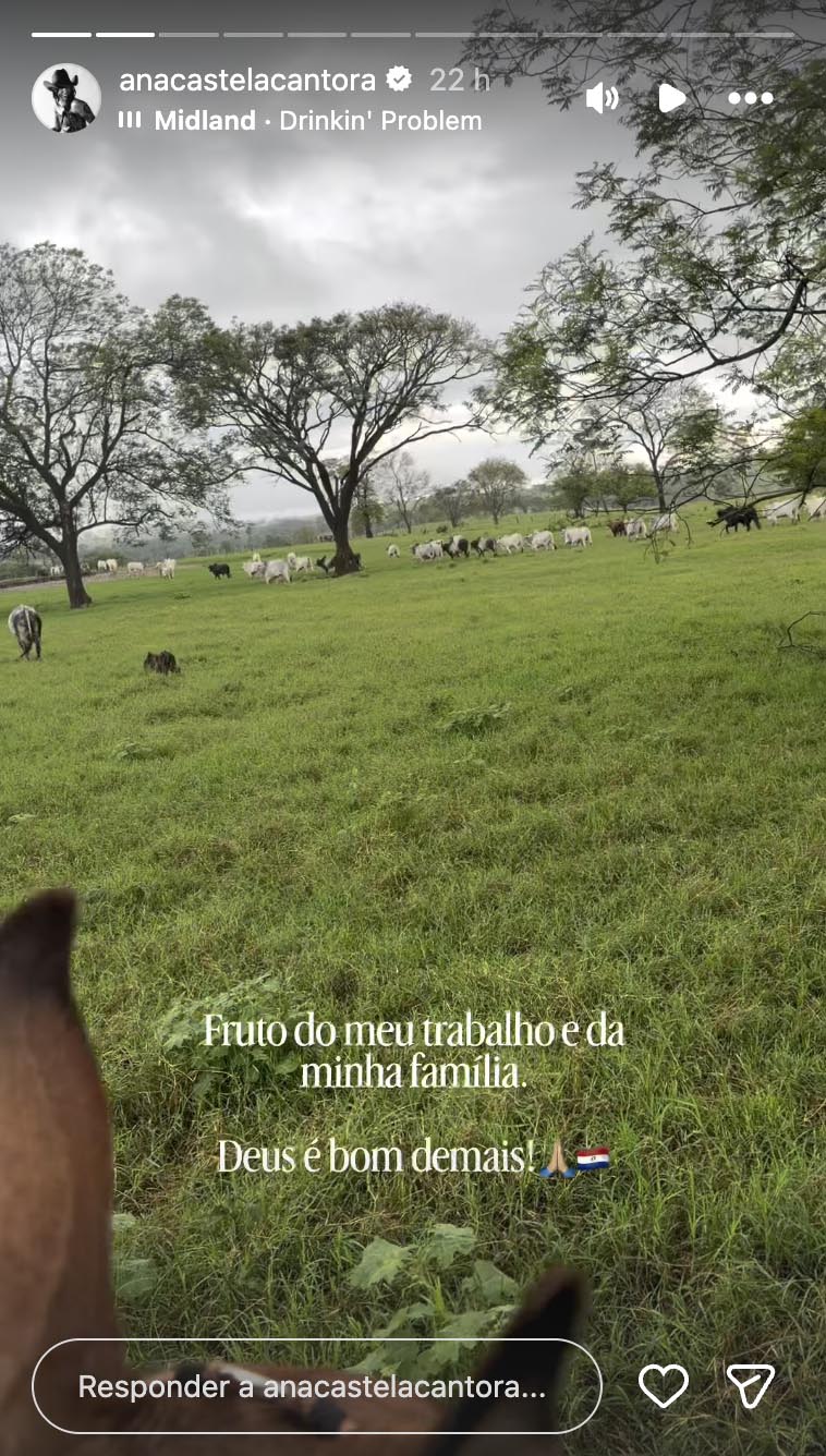 Fazenda de Ana Castela- Foto: Reprodução / Instagram