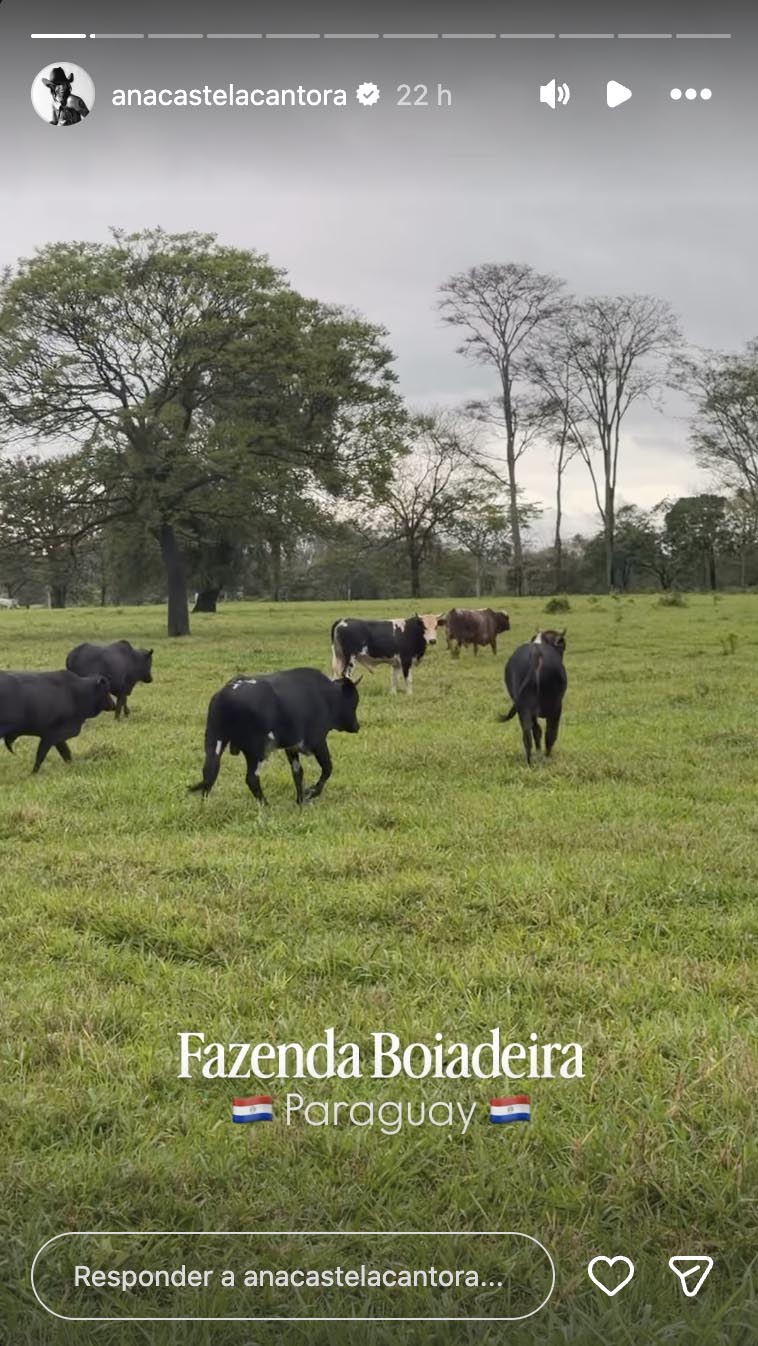 Fazenda de Ana Castela- Foto: Reprodução / Instagram