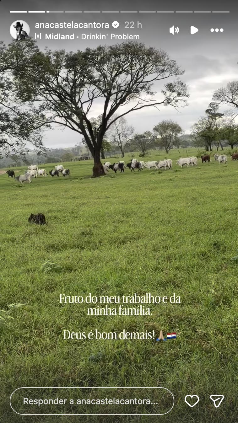 Fazenda de Ana Castela- Foto: Reprodução / Instagram