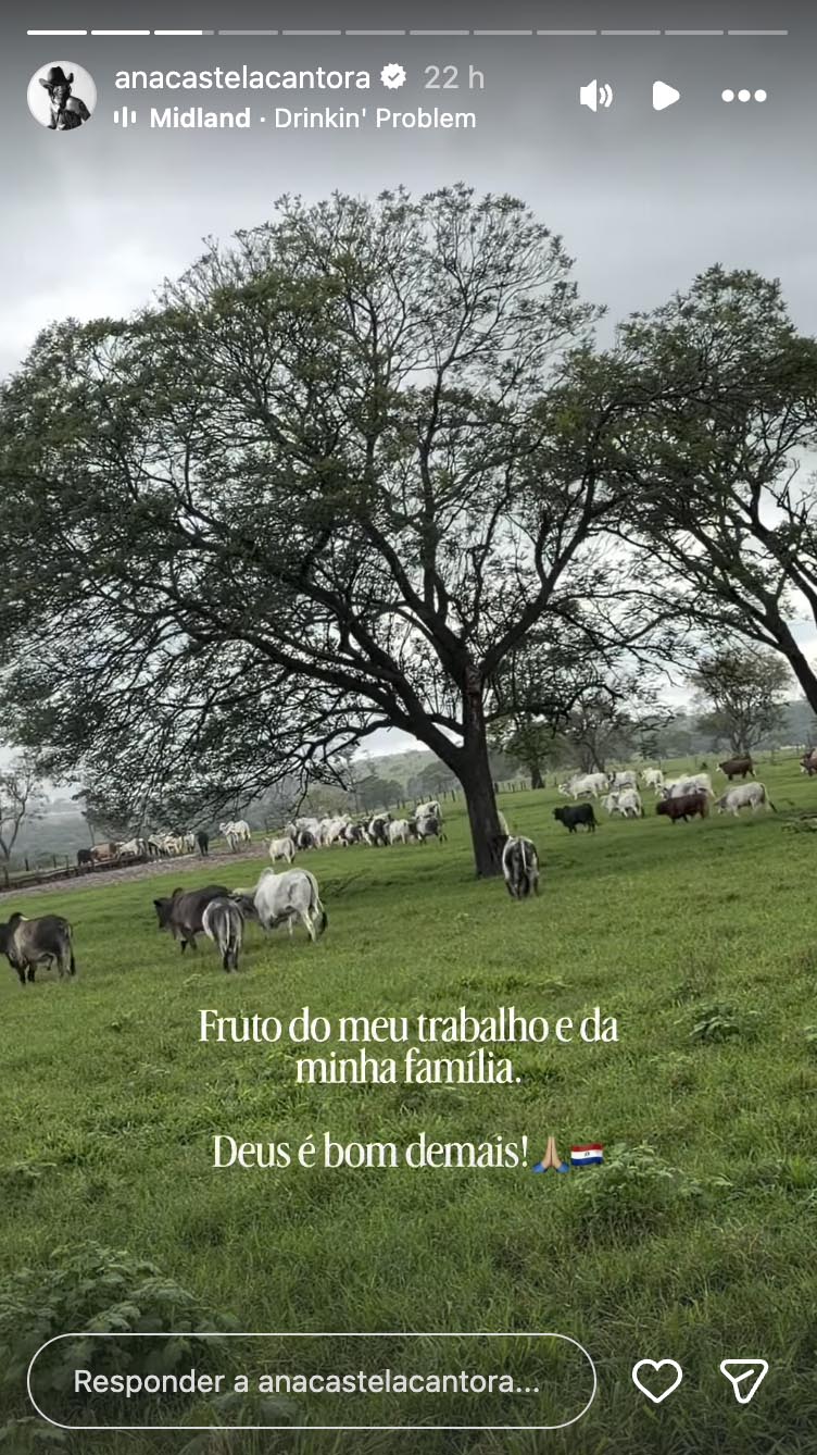 Fazenda de Ana Castela- Foto: Reprodução / Instagram