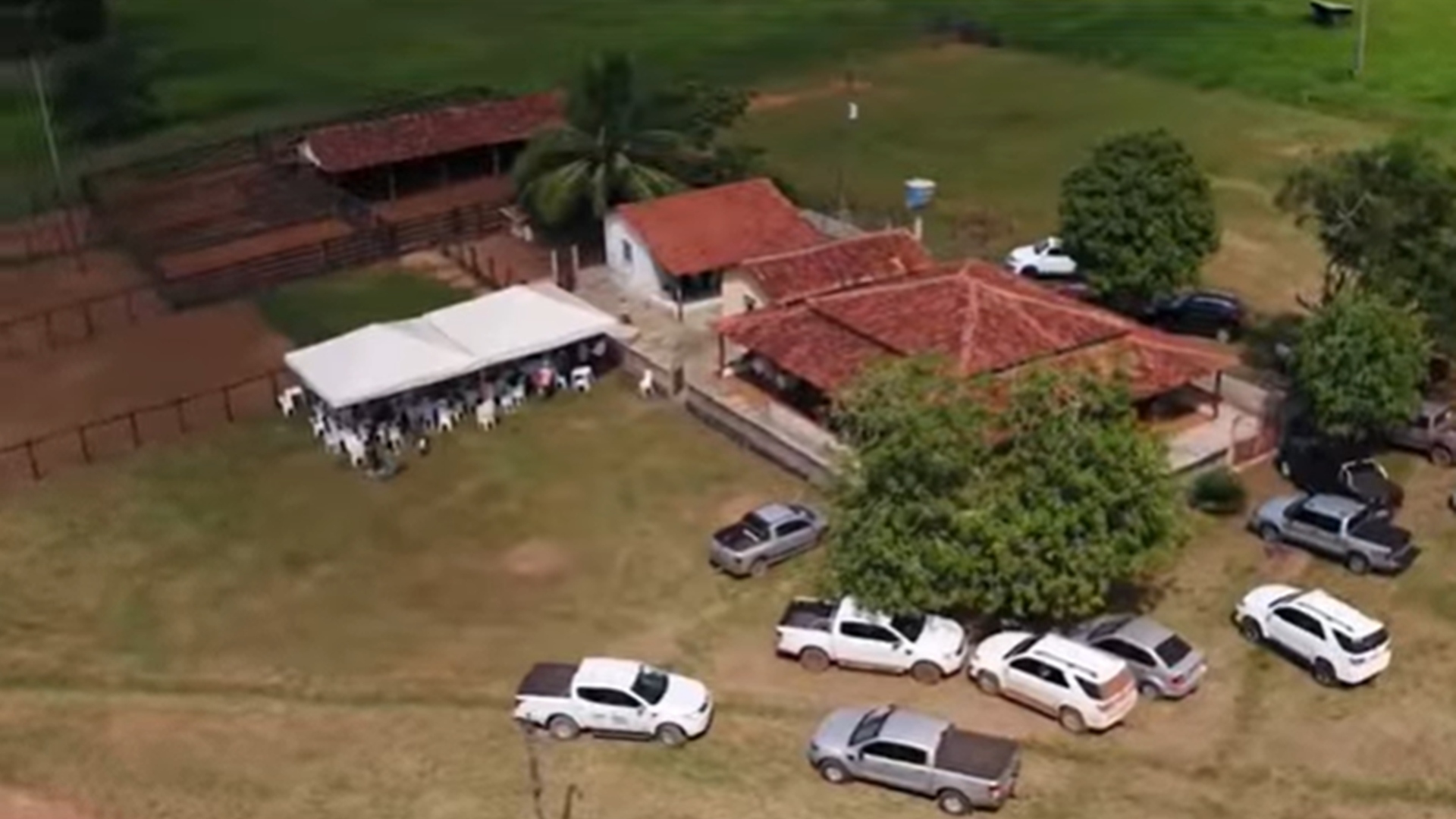 Chitãozinho fazenda