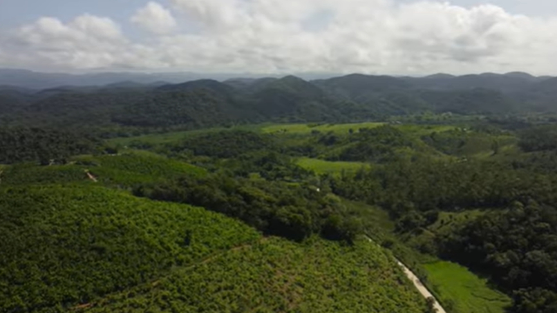 Chitãozinho fazenda