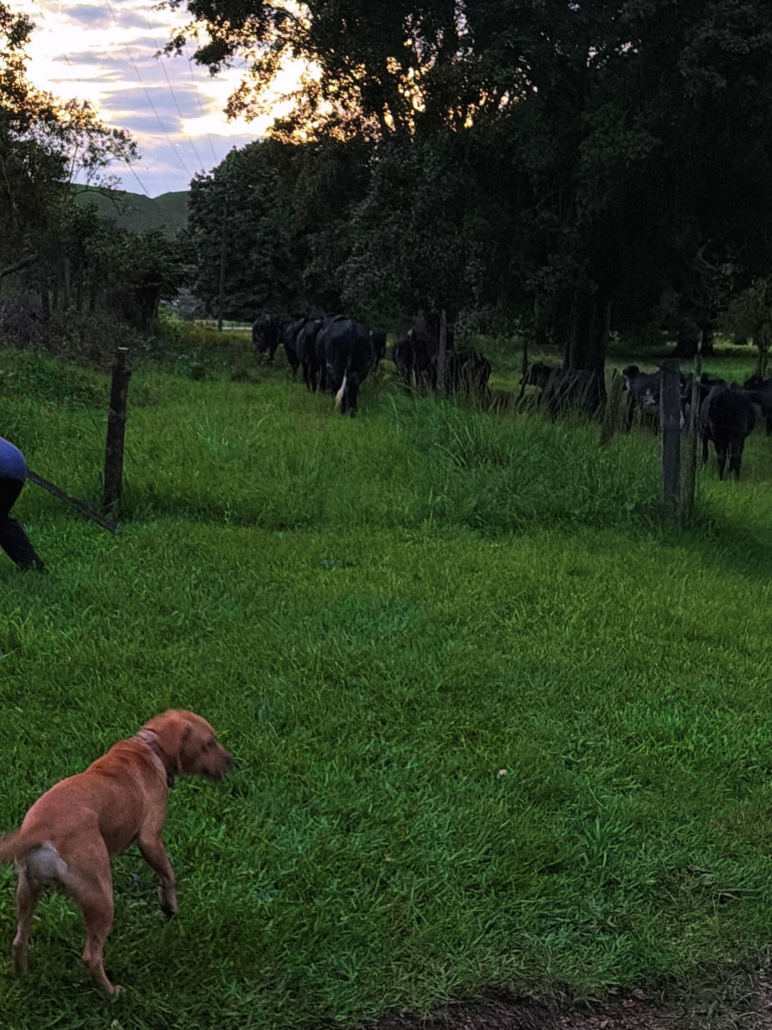 Fazenda da família de André Marques - Foto: Reprodução / Instagram @euandremarques