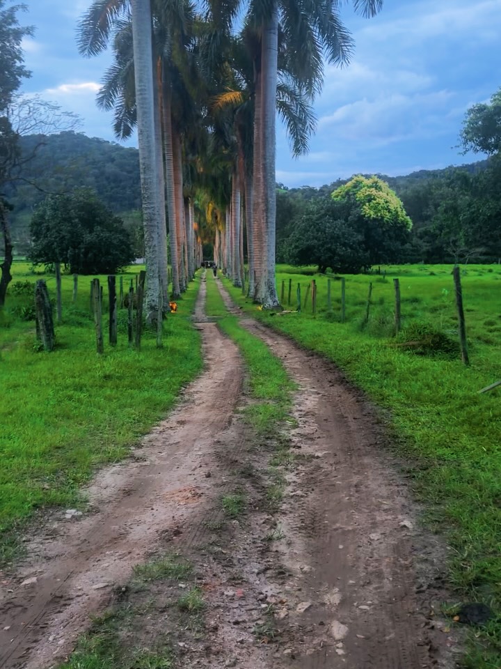 Fazenda da família de André Marques - Foto: Reprodução / Instagram @euandremarques