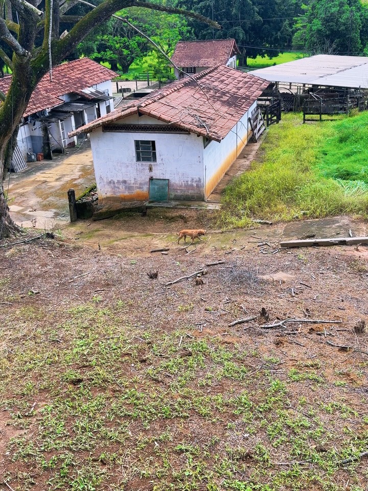 Fazenda da família de André Marques - Foto: Reprodução / Instagram @euandremarques