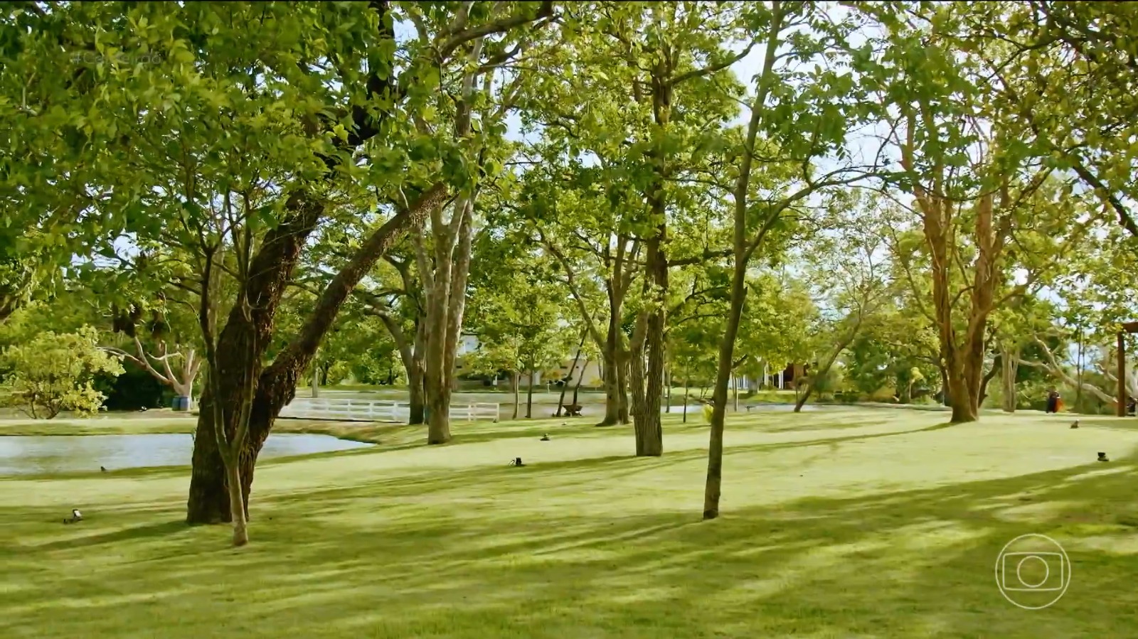 Fazenda de Maiara e Maraisa no interior de Goiás - Foto: Reprodução / TV Globo 
