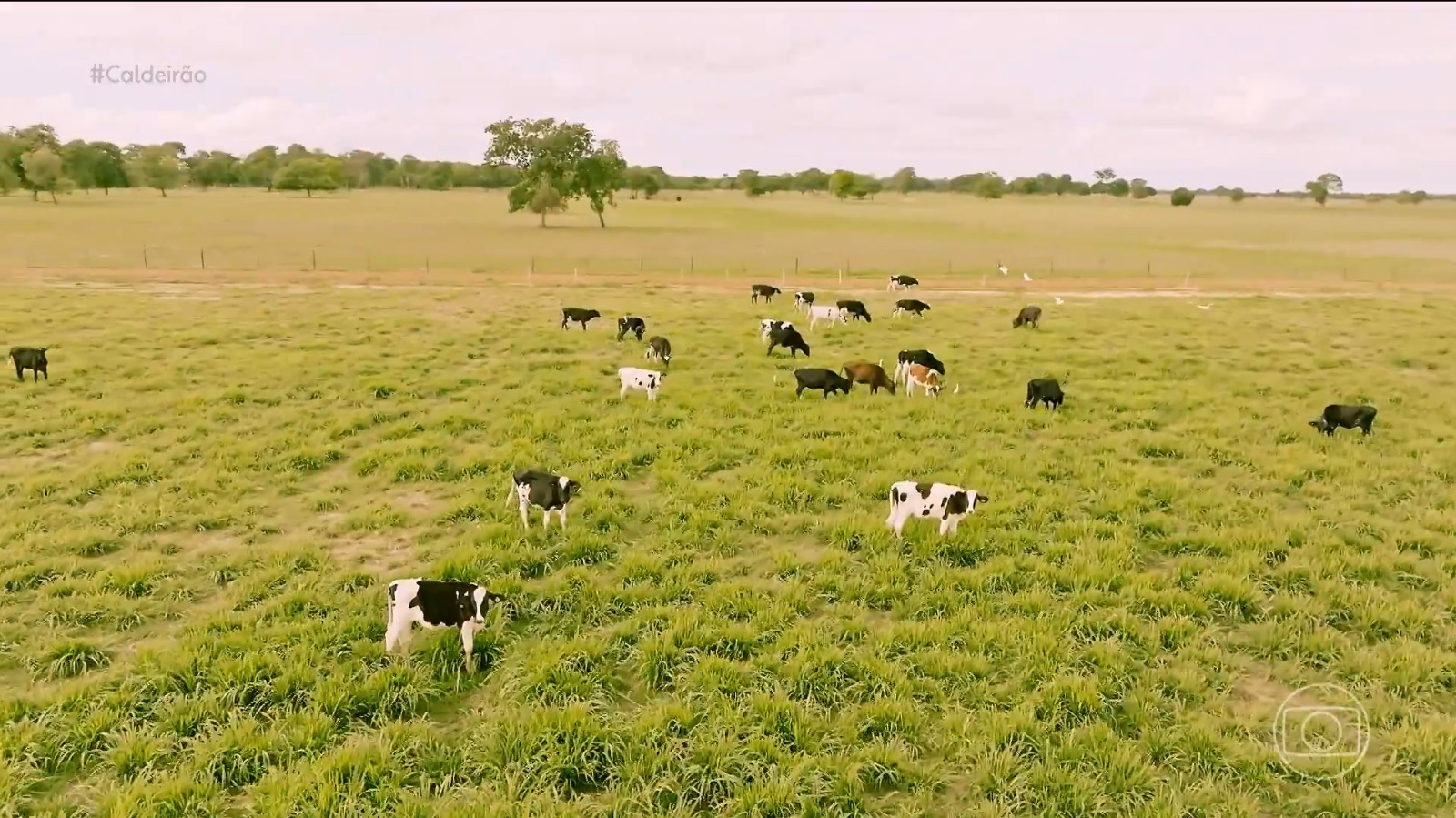 Fazenda de Maiara e Maraisa no interior de Goiás - Foto: Reprodução / TV Globo 