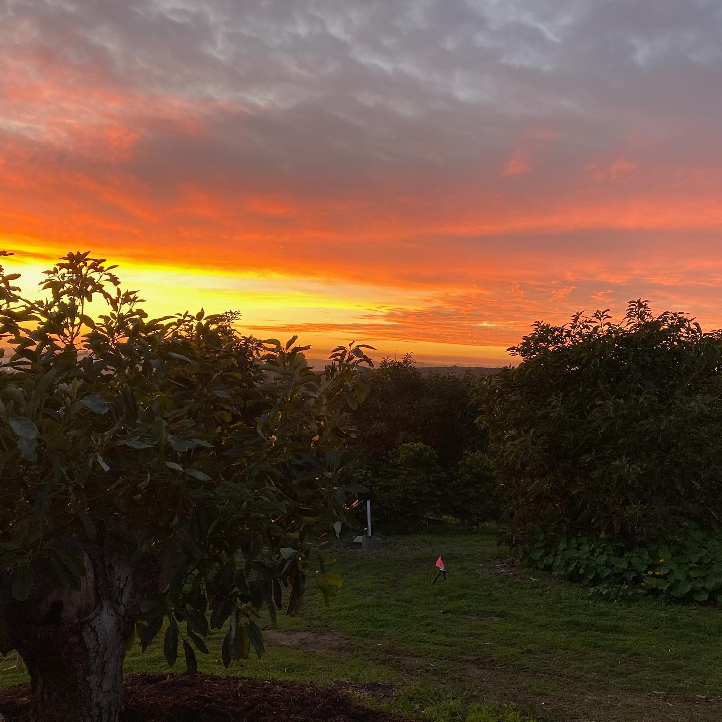 Fazenda de Jason Mraz - Foto: Reprodução / Instagram