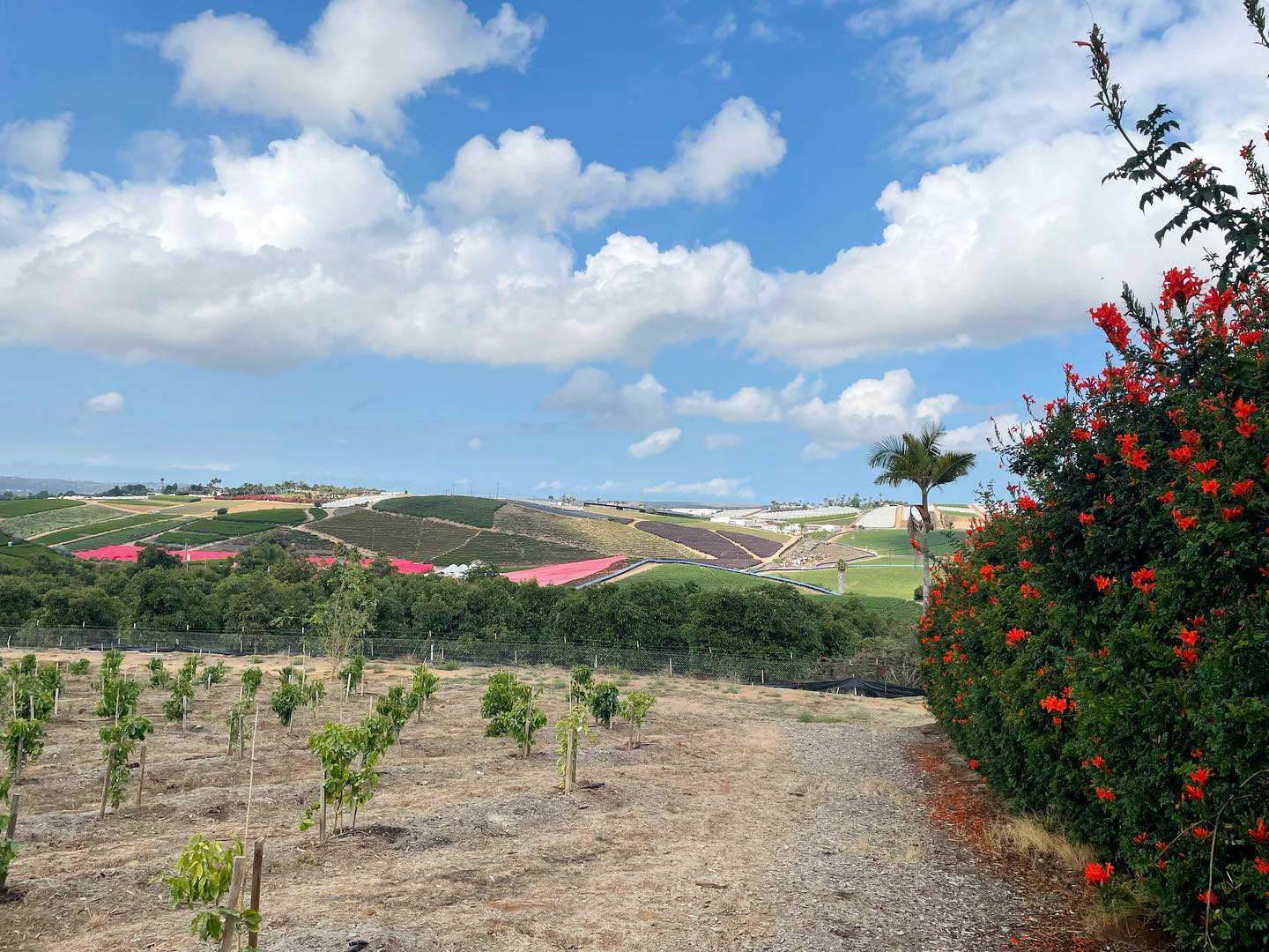 Fazenda de Jason Mraz - Foto: Reprodução / Instagram