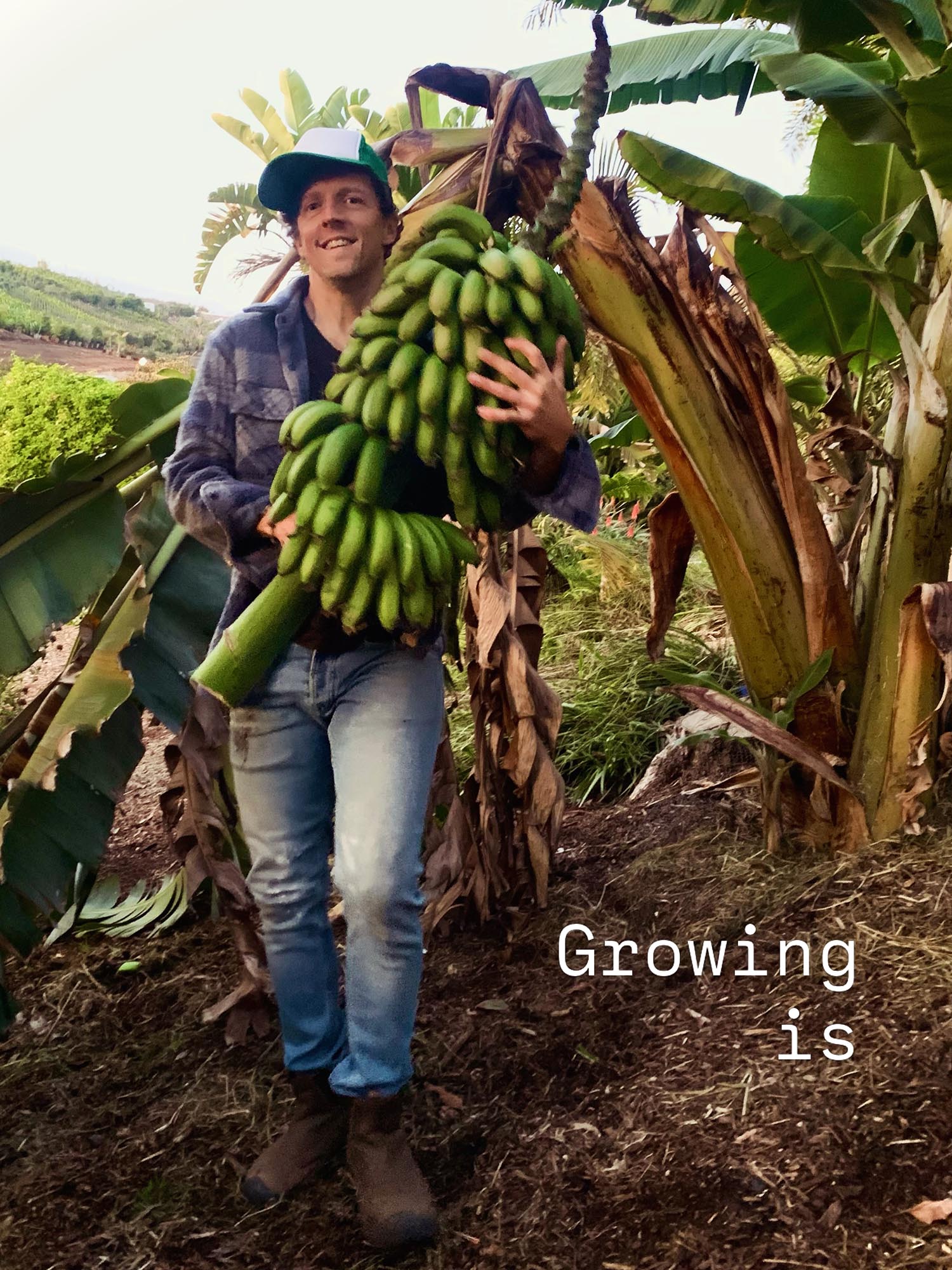 Fazenda de Jason Mraz - Foto: Reprodução / Instagram