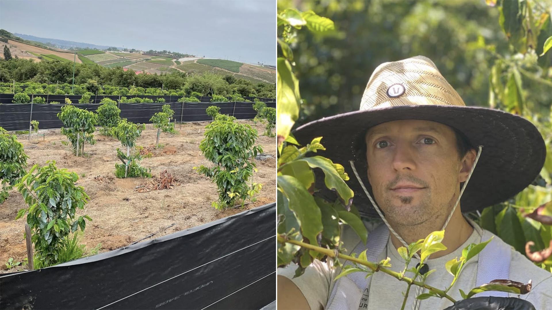 Aos 49 anos, cantor transforma antiga planta&ccedil;&atilde;o de abacates em fazenda regenerativa na Calif&oacute;rnia