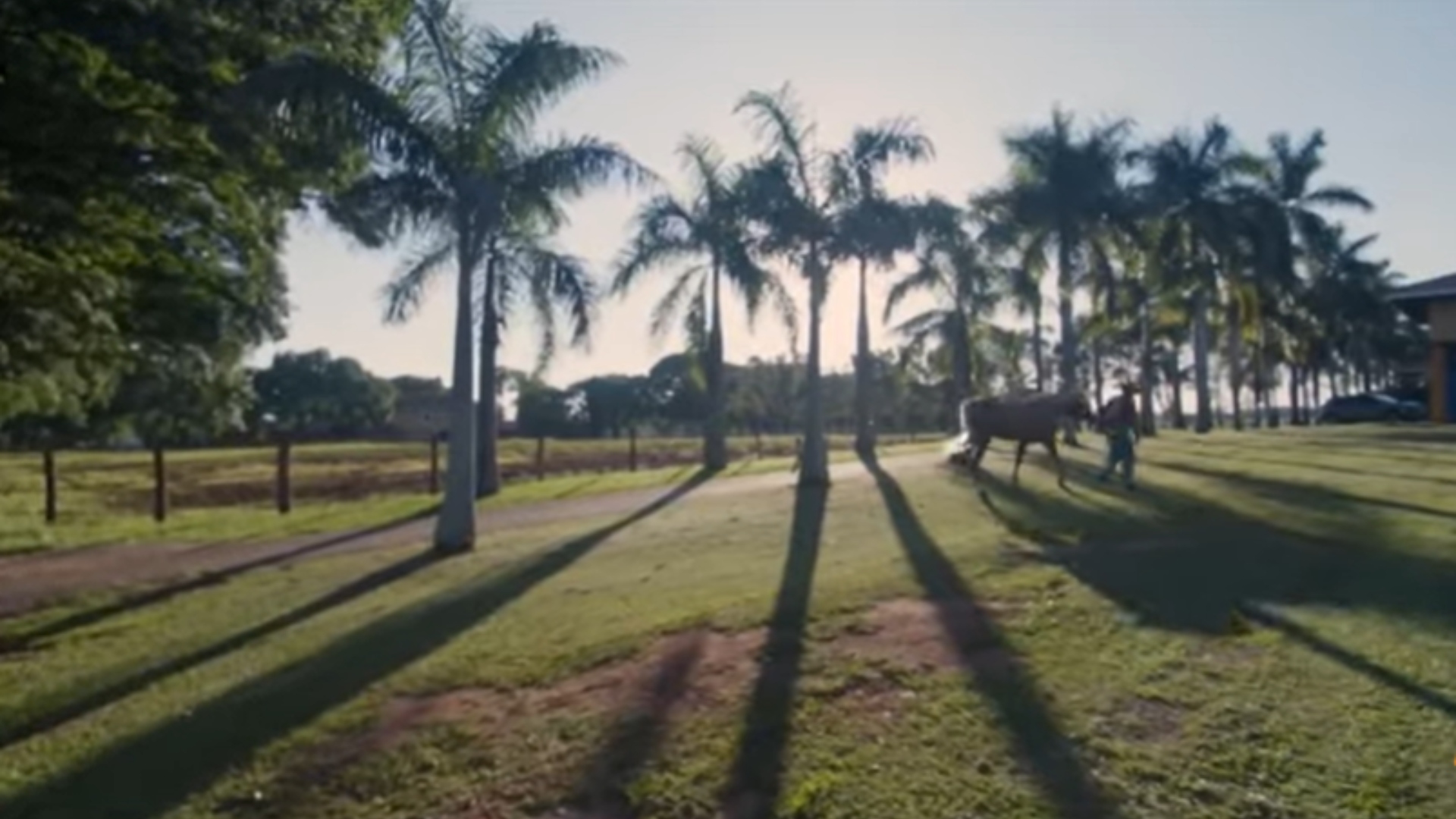 fazenda Sorocaba