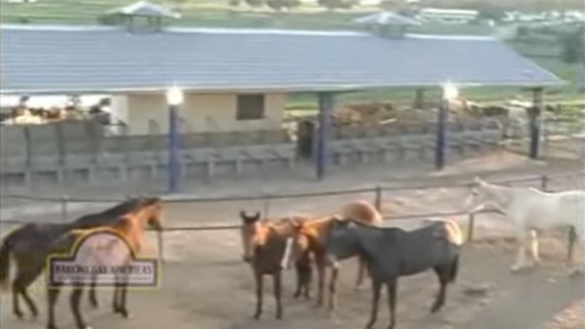 fazenda Sorocaba