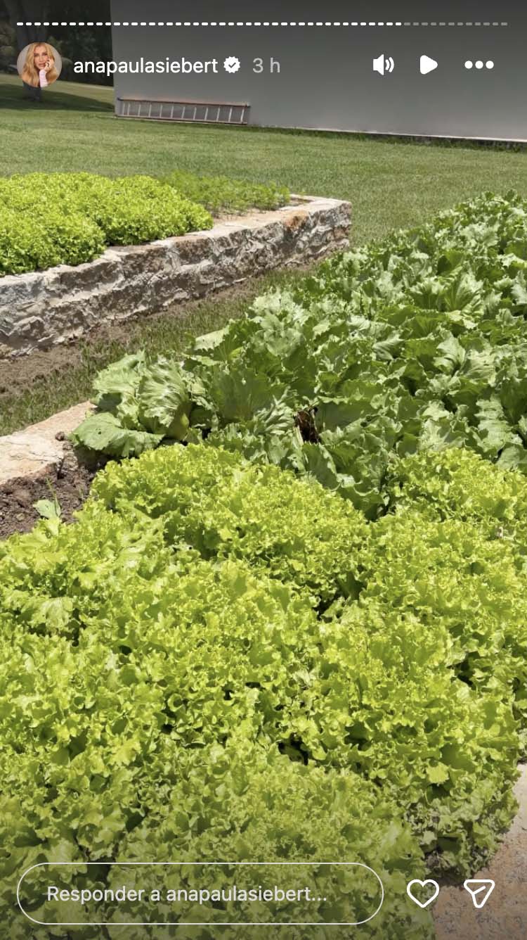 Horta na fazenda de Roberto Justus e Ana Paula Siebert - Foto: Reprodução / Instagram