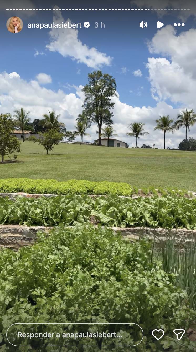 Horta na fazenda de Roberto Justus e Ana Paula Siebert - Foto: Reprodução / Instagram