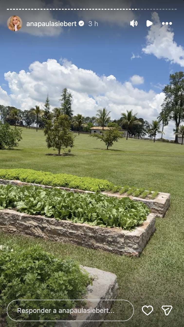 Horta na fazenda de Roberto Justus e Ana Paula Siebert - Foto: Reprodução / Instagram
