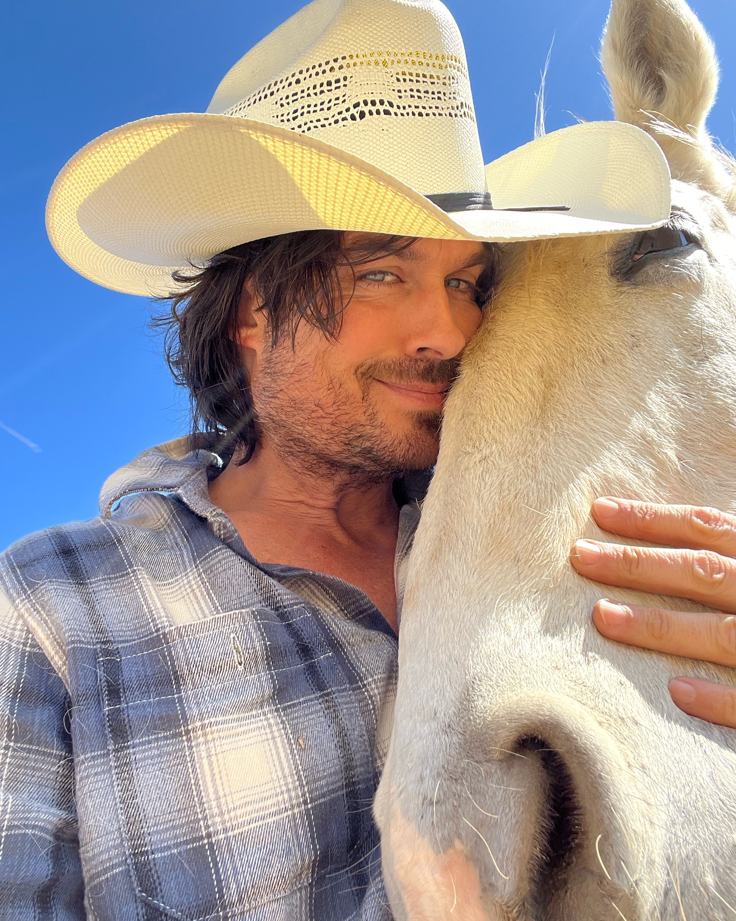 Ian Somerhalder - Foto: Reprodução / Instagram