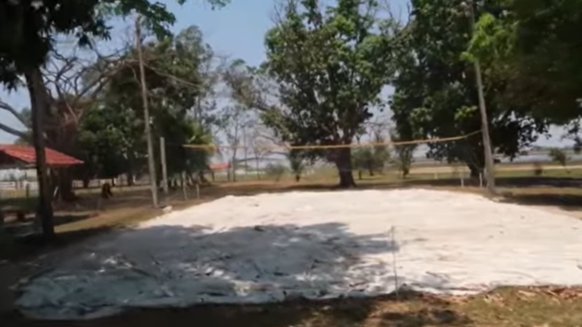 Leonardo fazenda