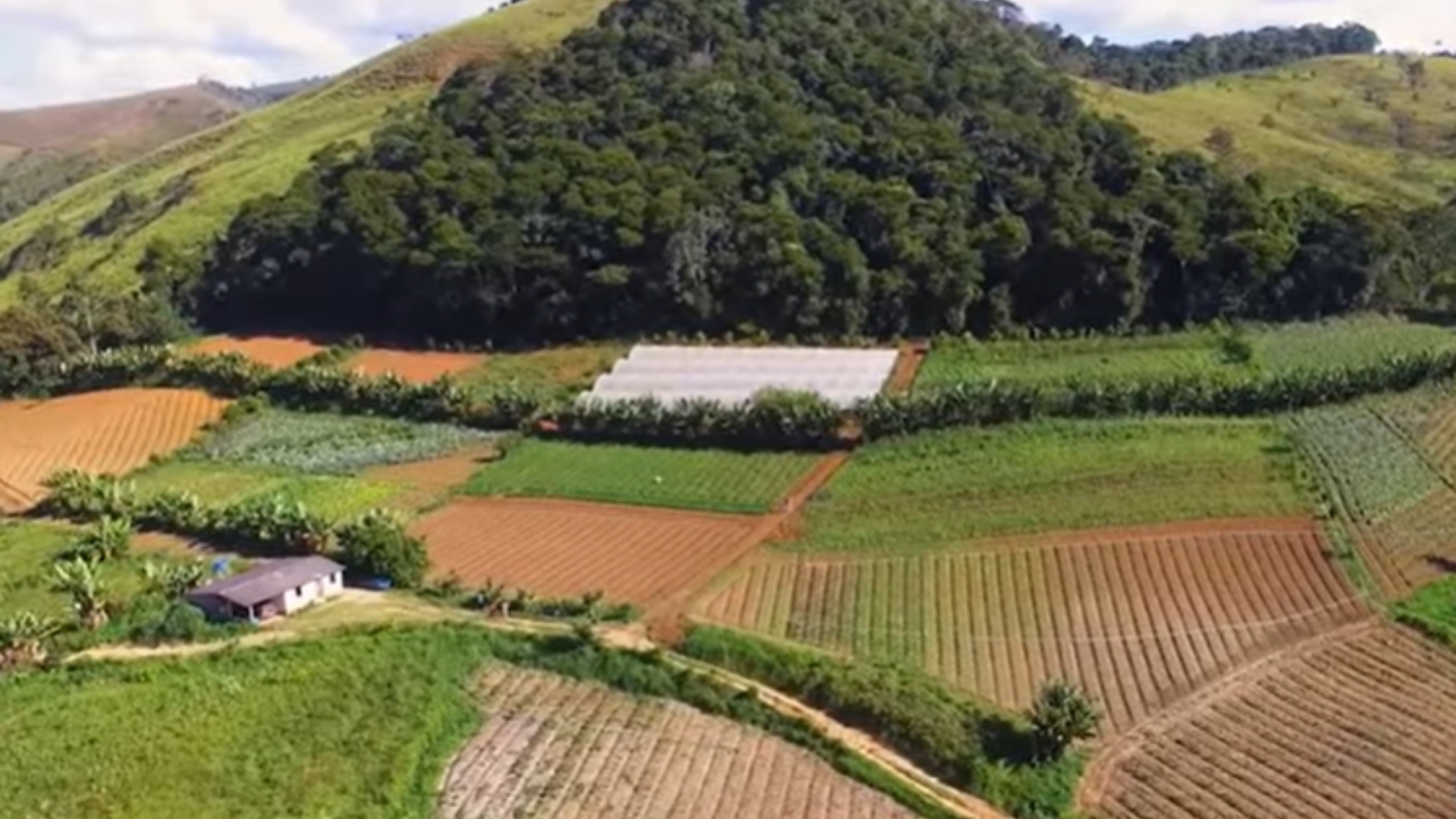 Marcos Palmeira fazenda