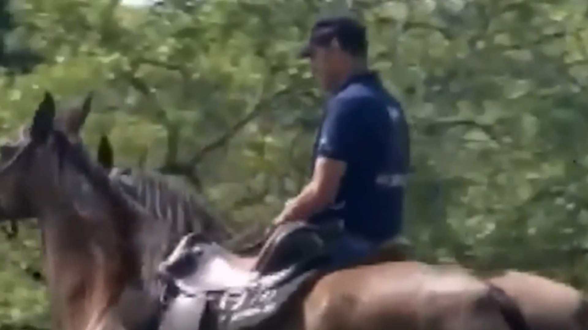 Marcos Rocha fazenda