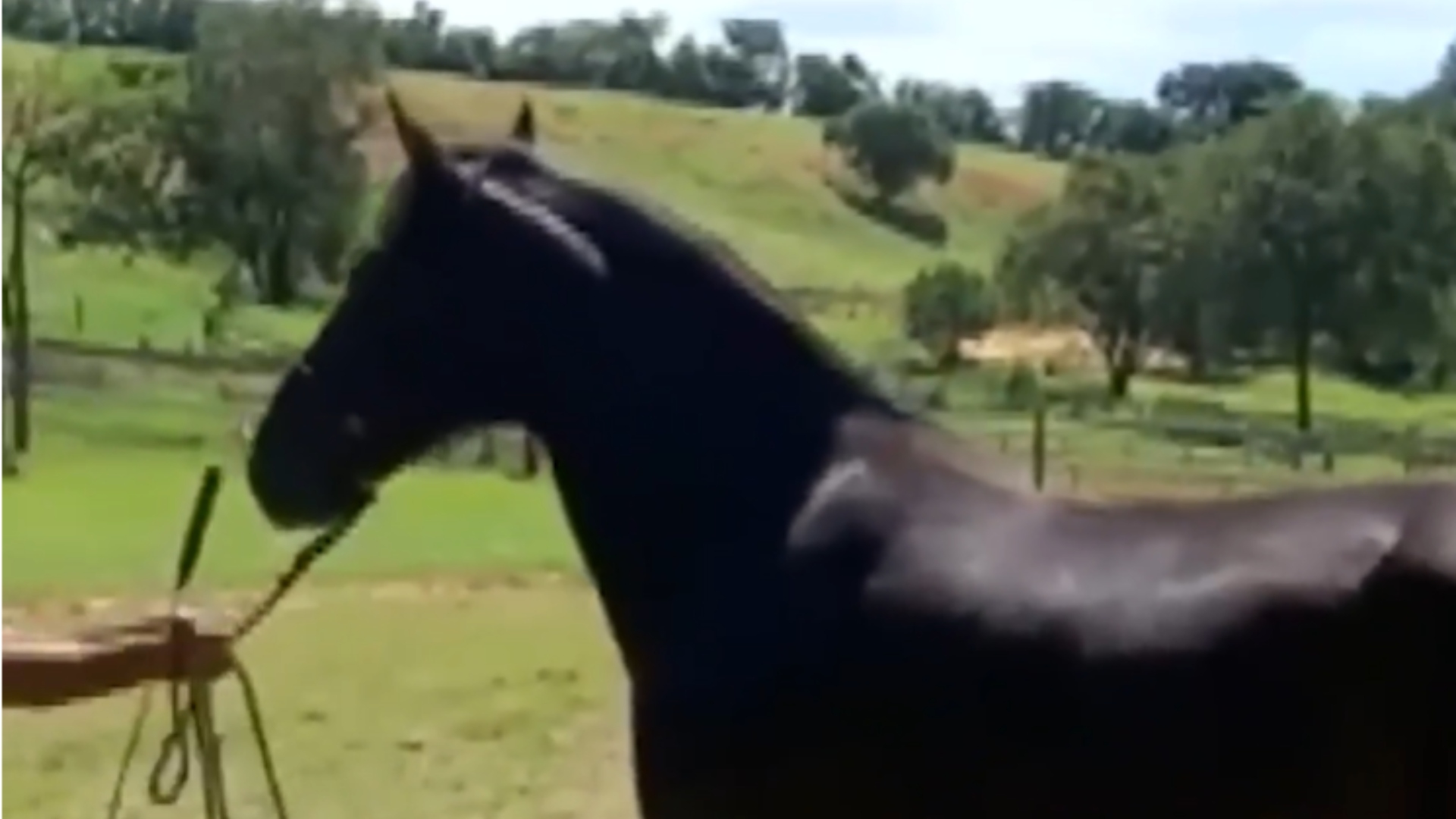 Marcos Rocha fazenda