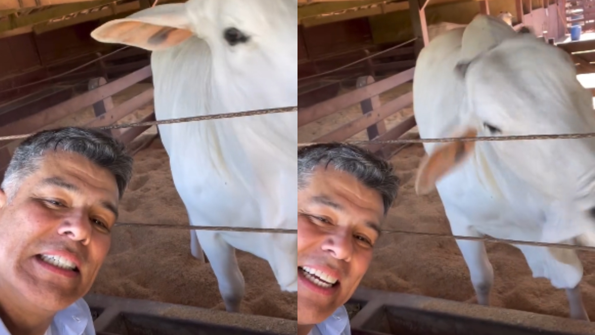 Maurício Mattar fazenda 