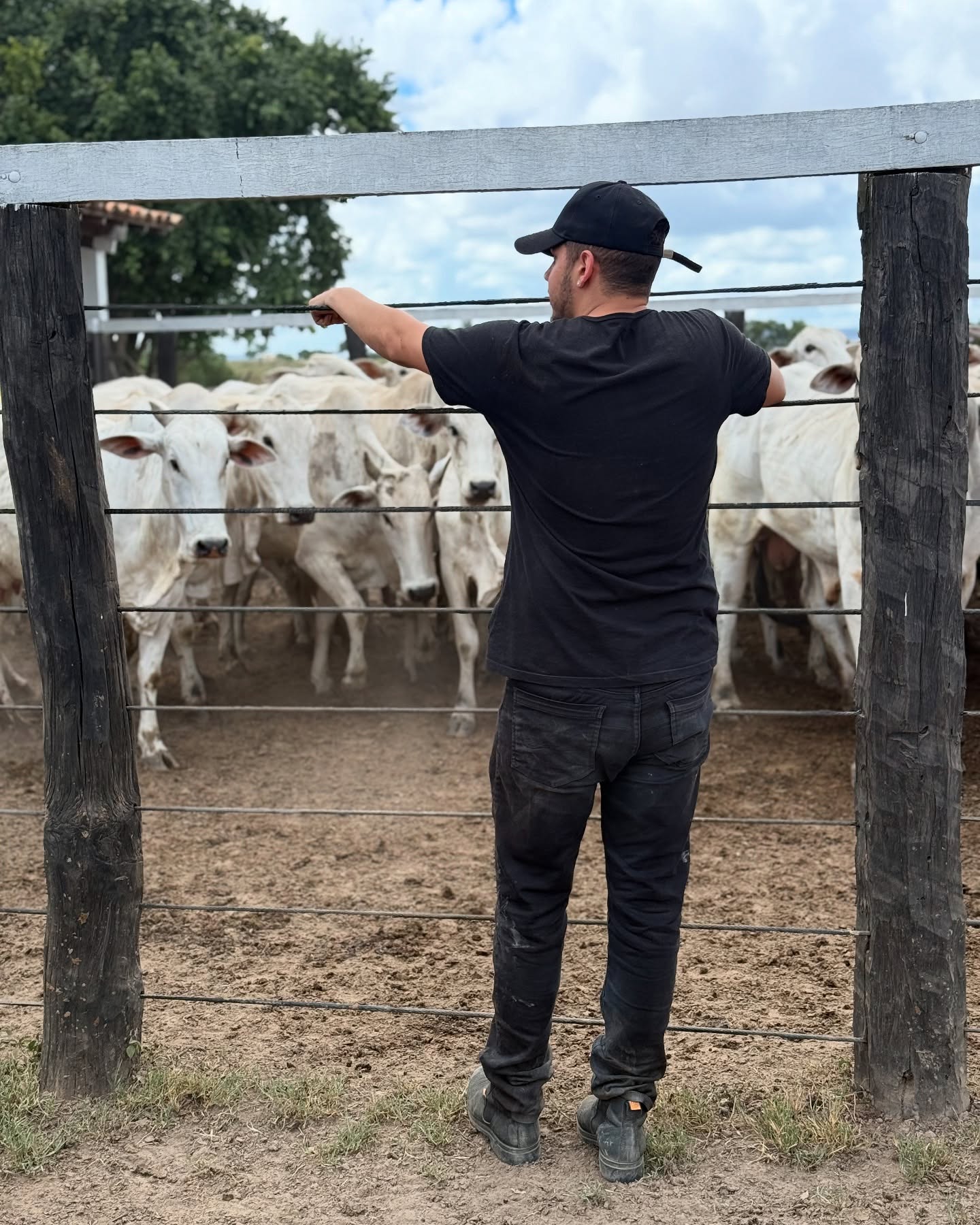 Nadson O Ferinha em sua fazenda - Foto: Reprodução / Instagram