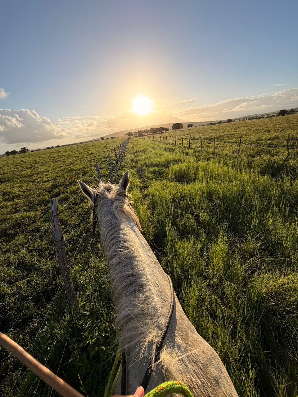 Fazenda de Nadson O Ferinha - Foto: Divulgação