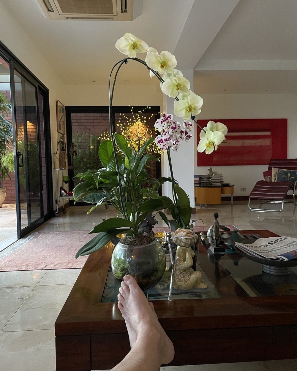 Ney Latorraca tinha paixão por orquídeas - Foto: Reprodução / Instagram 