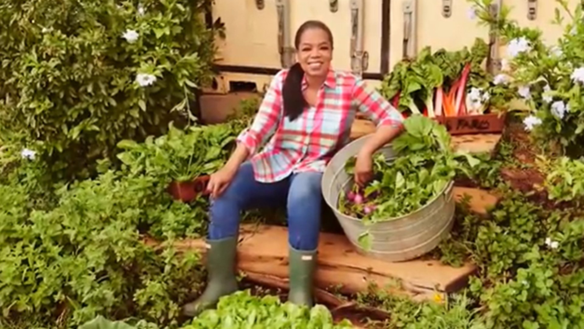 Oprah Winfrey fazenda