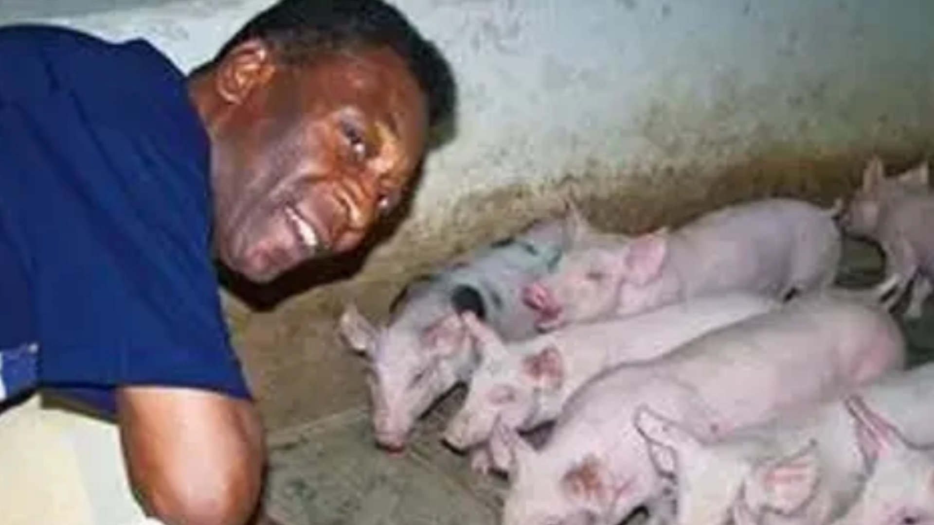 Pelé fazenda