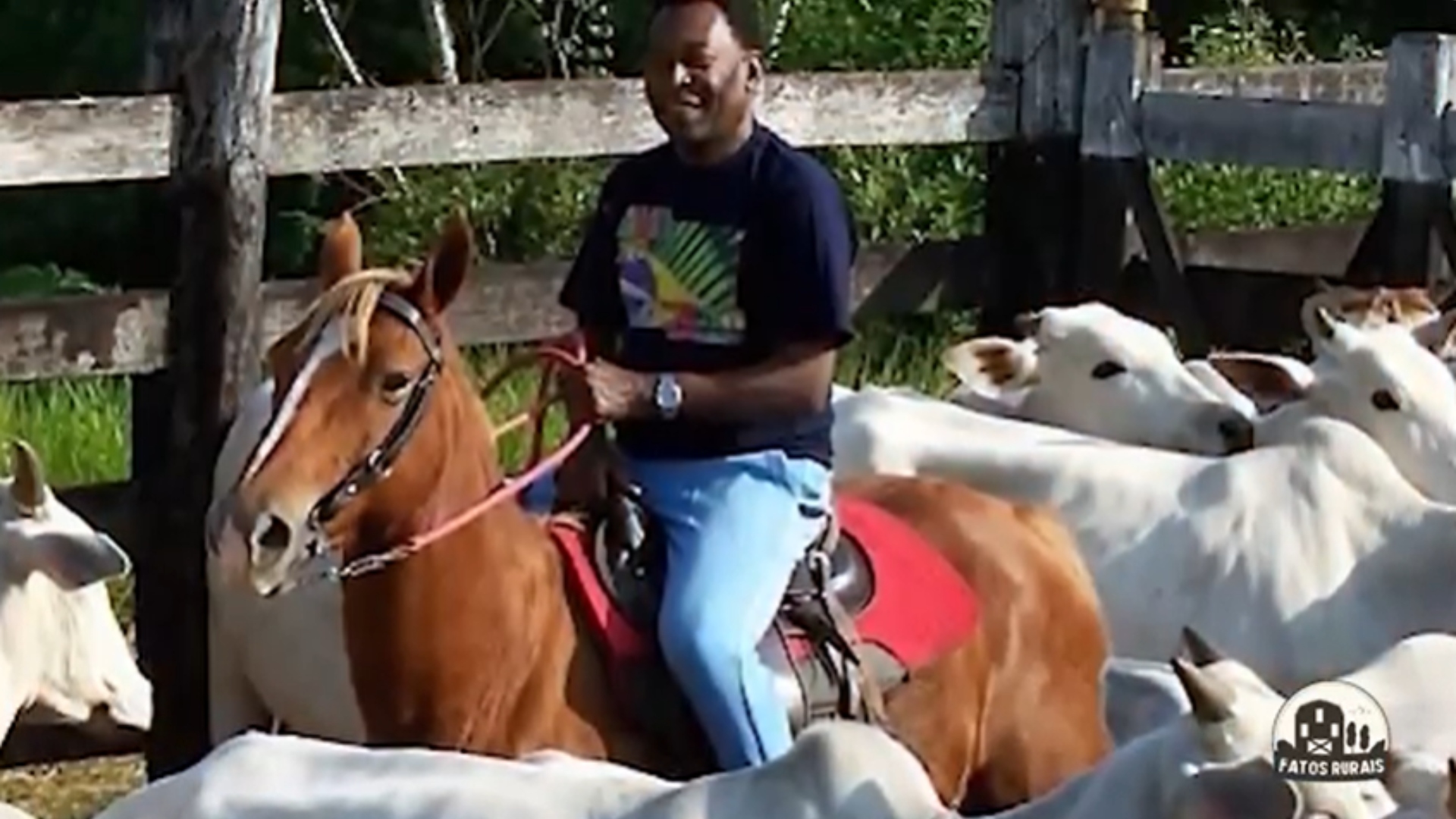 Pelé fazenda