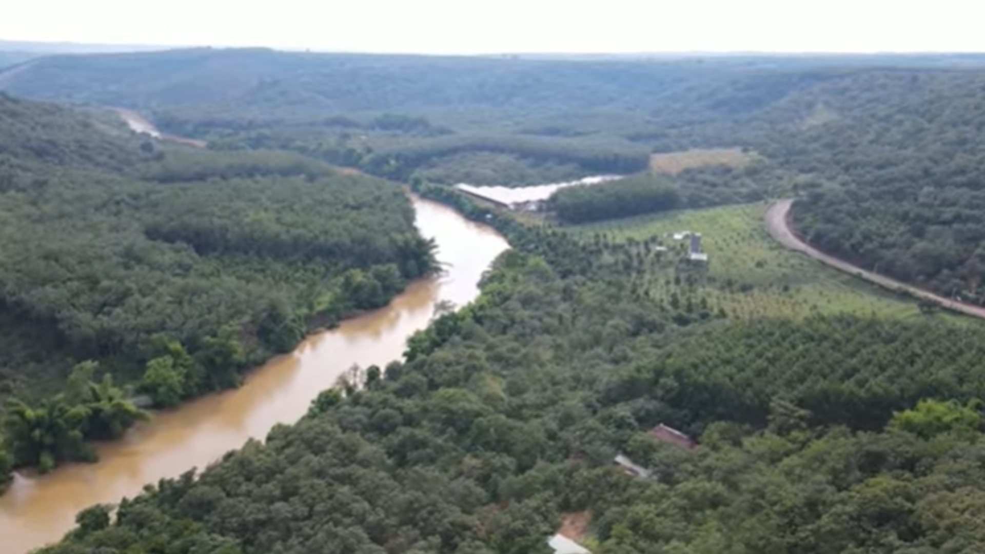 Ratinho fazenda