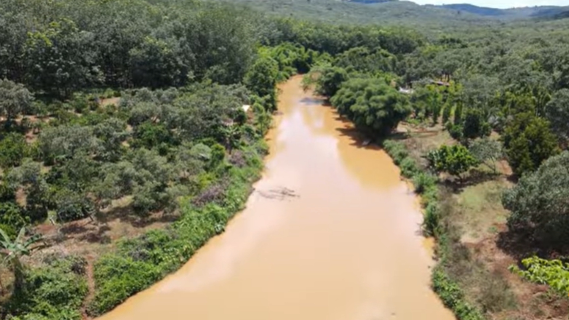 Ratinho fazenda