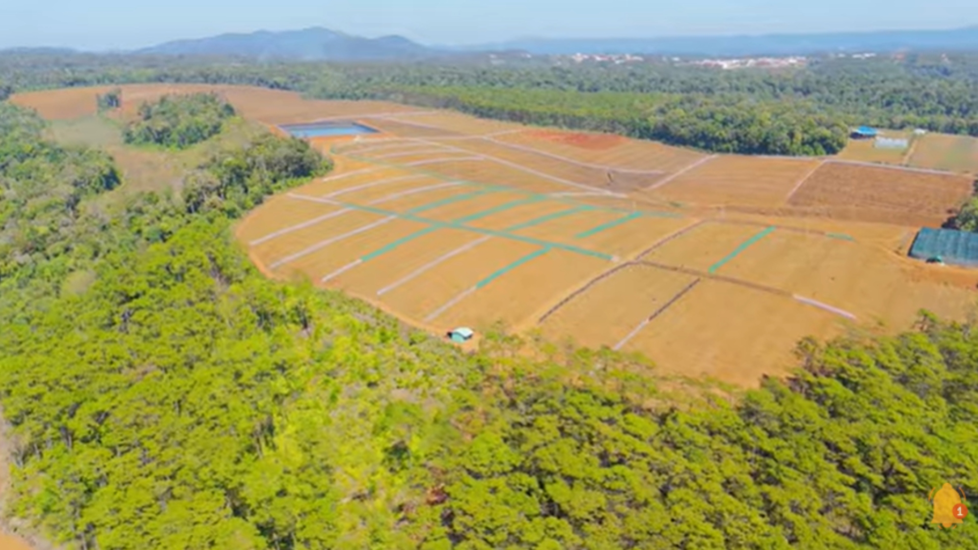Ratinho fazenda